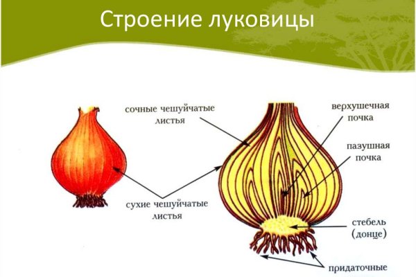 Кракен через тор