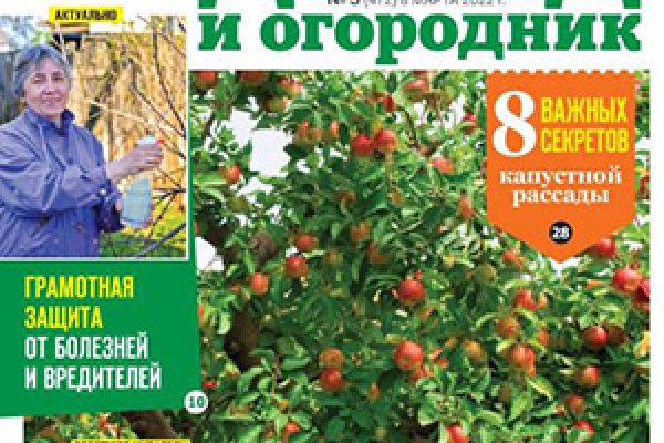 Кракен маркет даркнет только через стор