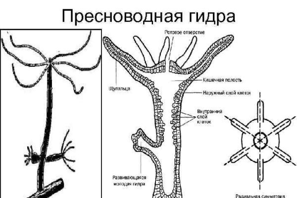 Кракен даркнет вход